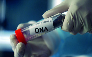 dna