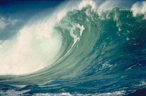 tsunami(1)