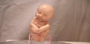baby19n-1